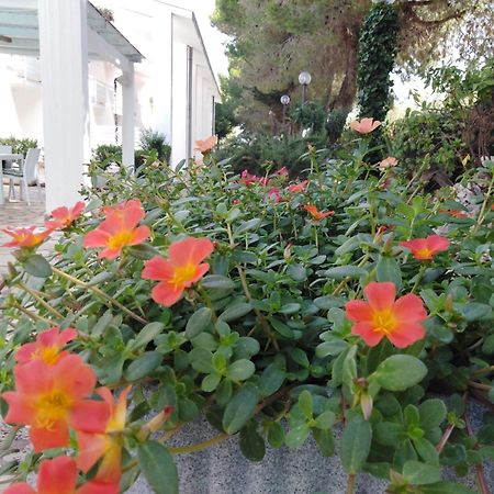 알베르벨로 Raggio Di Sole 아파트 호텔 외부 사진